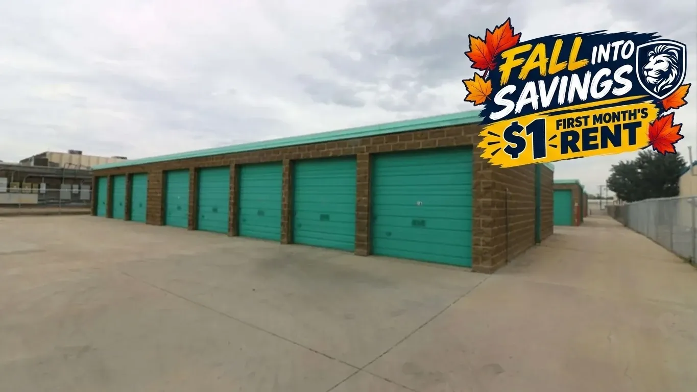 Storage Lion South Sherman St Hero w Promo